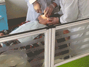 第三视角拔智齿