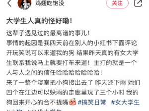 大学生代遛狗，哈哈哈哈这是什么三向奔赴