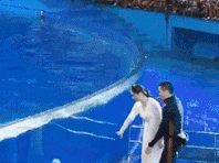 漂亮小姐姐一挥手，就激动了？